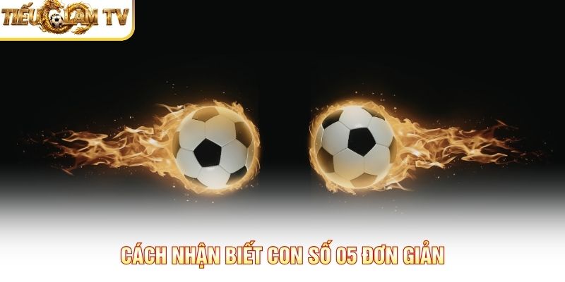 Cách nhận biết con số 0.5 đơn giản