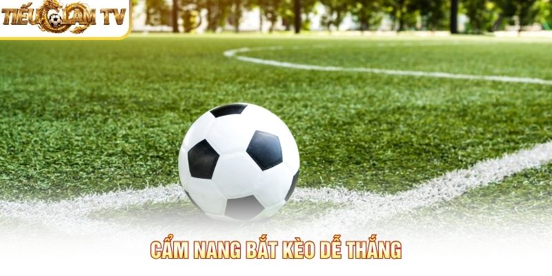 Cẩm nang bắt kèo dễ thắng