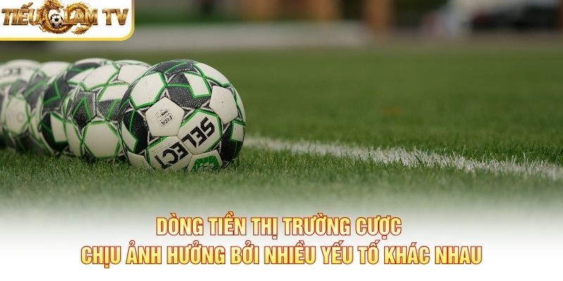 Dòng tiền thị trường cược chịu ảnh hưởng bởi nhiều yếu tố khác nhau