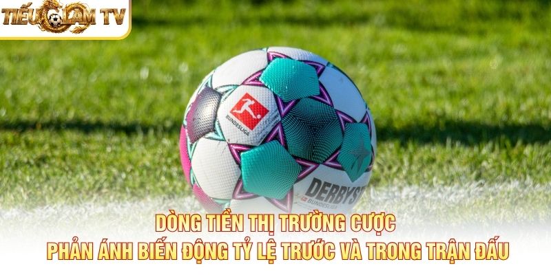 Dòng tiền thị trường cược phản ánh biến động tỷ lệ trước và trong trận đấu
