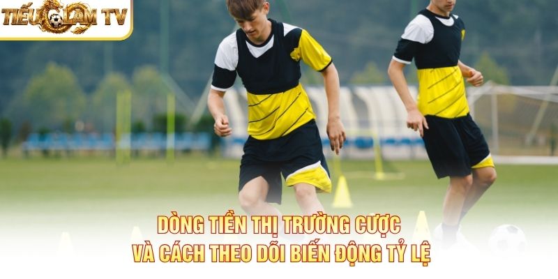Dòng Tiền Thị Trường Cược