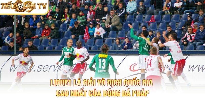 Ligue1 là giải vô địch quốc gia cao nhất của bóng đá Pháp