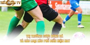 Thị Trường Cược Bóng Đá