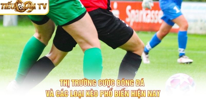 Thị Trường Cược Bóng Đá