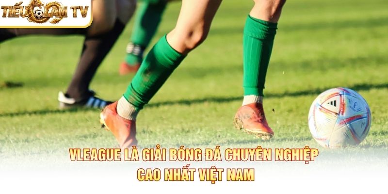 VLeague là giải bóng đá chuyên nghiệp cao nhất Việt Nam