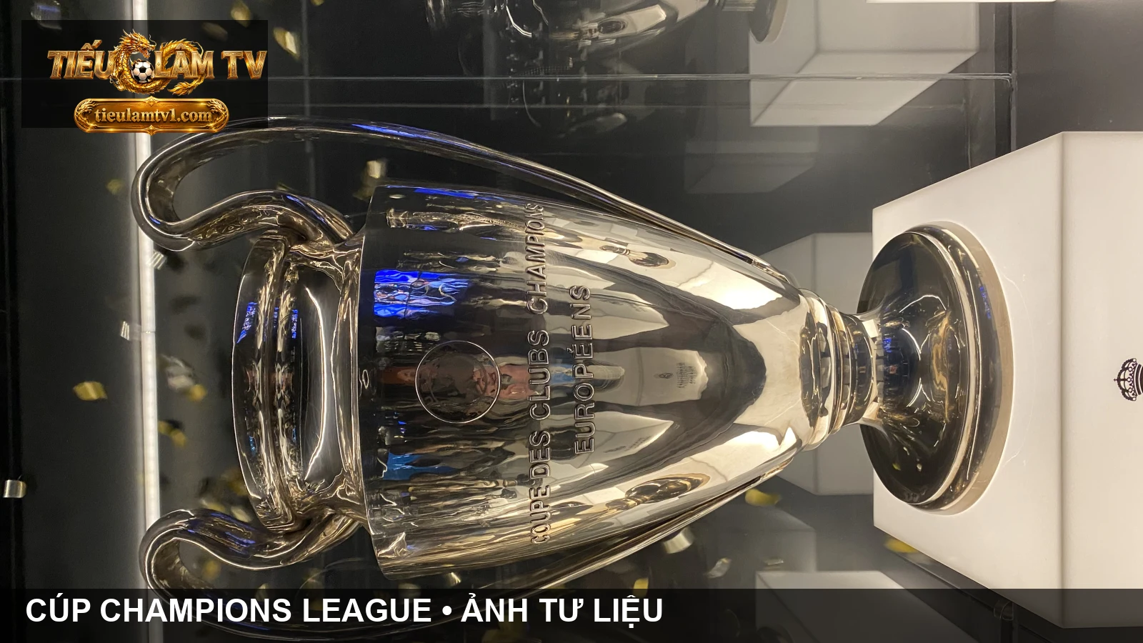 Cúp Champions League trong ảnh tư liệu