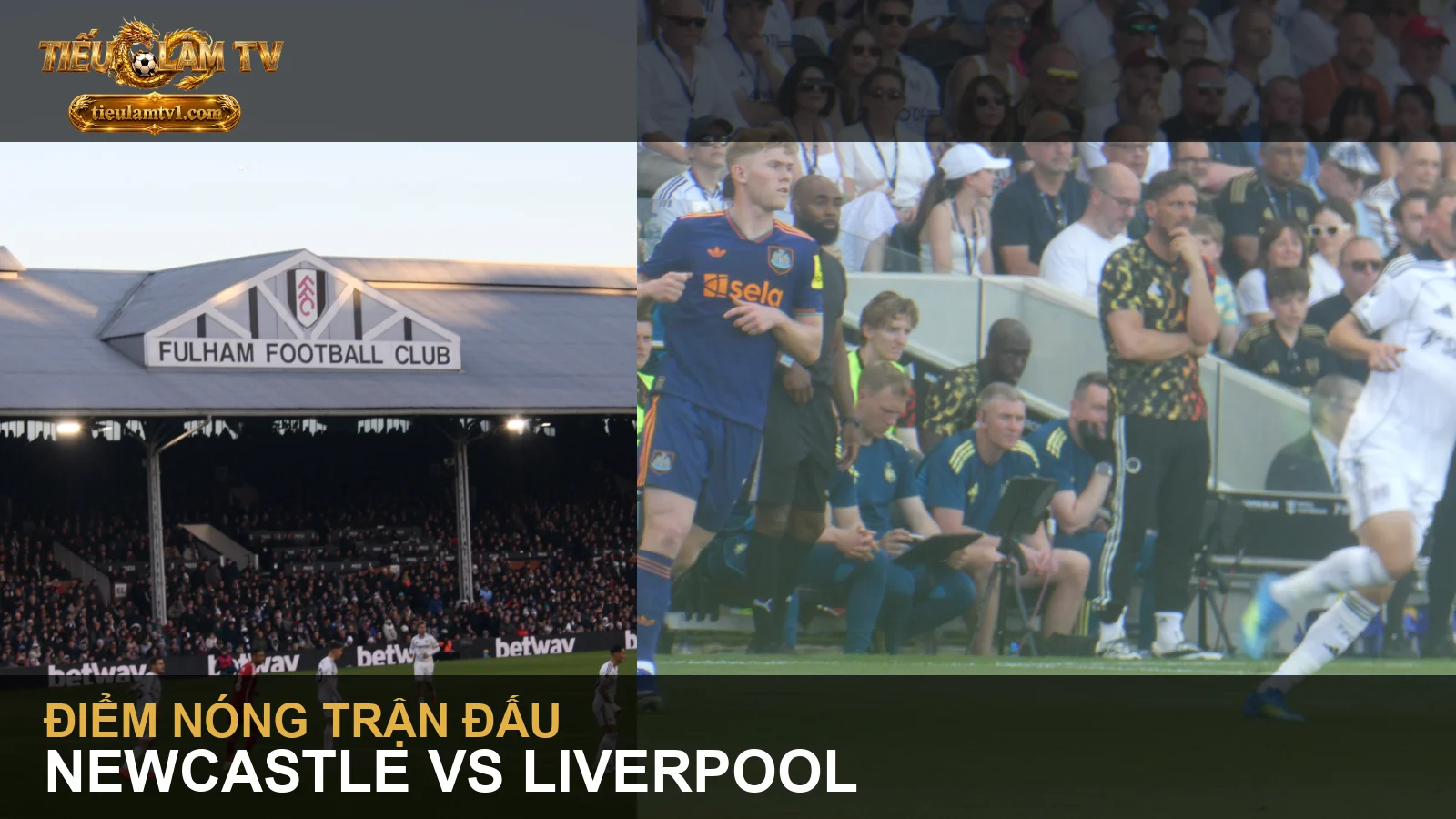 Newcastle United và Liverpool trong ảnh thi đấu năm 2026 - ảnh trong bài