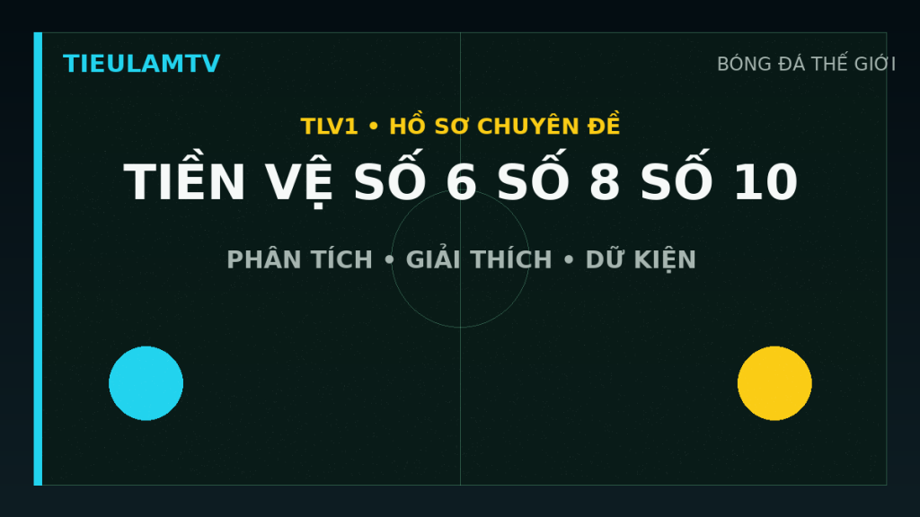 Đồ họa minh họa tiền vệ số 6, số 8 và số 10 khác nhau thế nào? trên TieulamTV