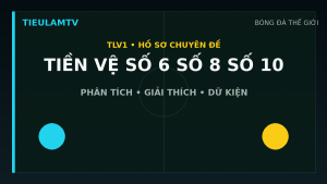 Đồ họa minh họa tiền vệ số 6, số 8 và số 10 khác nhau thế nào? trên TieulamTV
