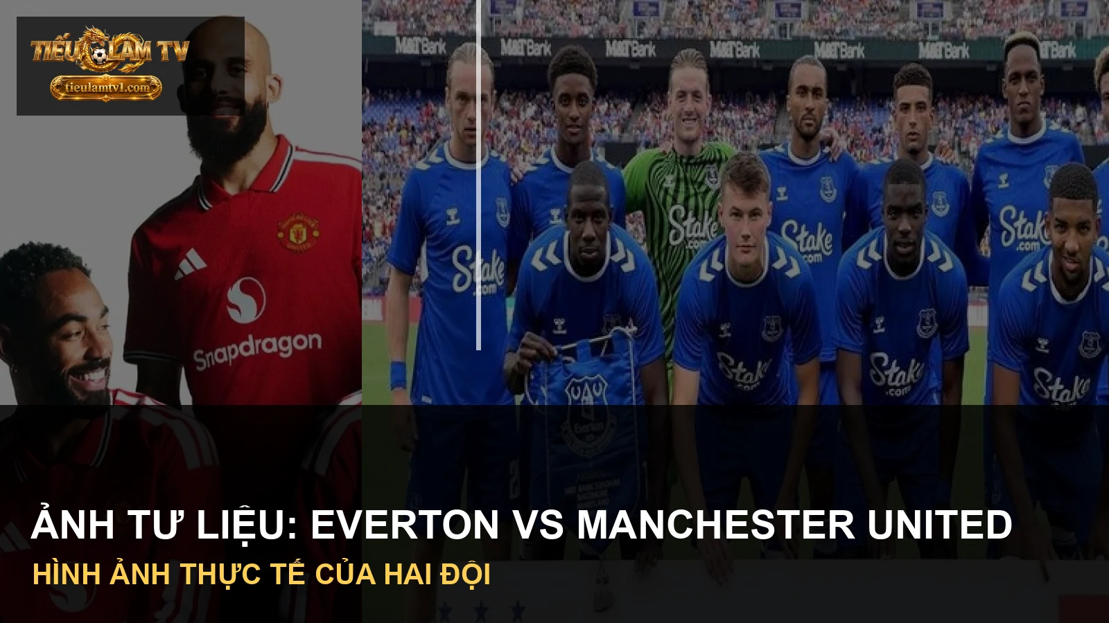 Hình ảnh thực tế của Everton và Manchester United trong tư liệu trận đấu