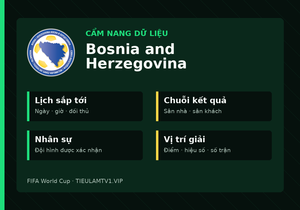 Phân tích phong độ và lối chơi Bosnia and Herzegovina