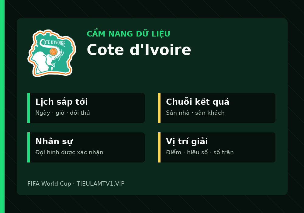 Phân tích phong độ và lối chơi Cote d'Ivoire