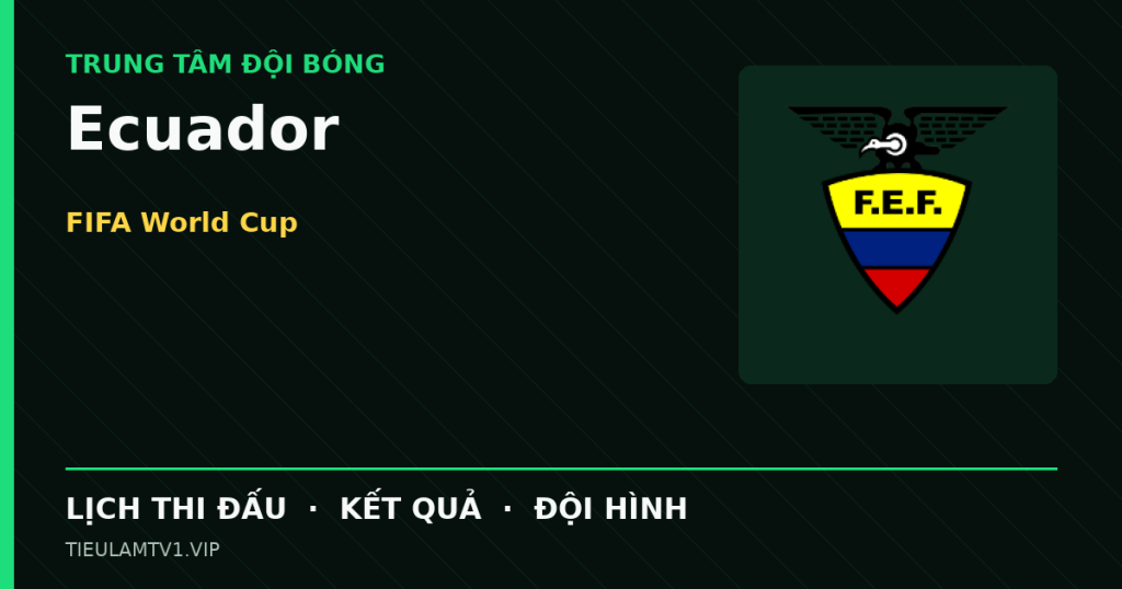 Đồ họa bóng đá Ecuador tại FIFA World Cup