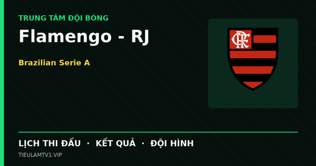 Đồ họa bóng đá Flamengo - RJ tại Brazilian Serie A