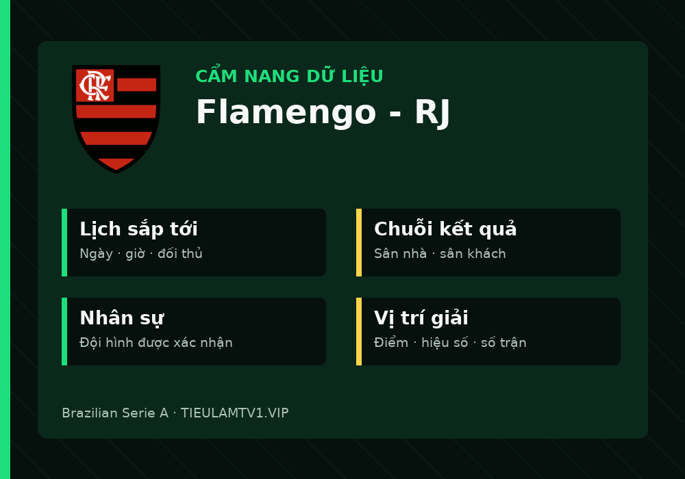 Phân tích phong độ và lối chơi Flamengo - RJ