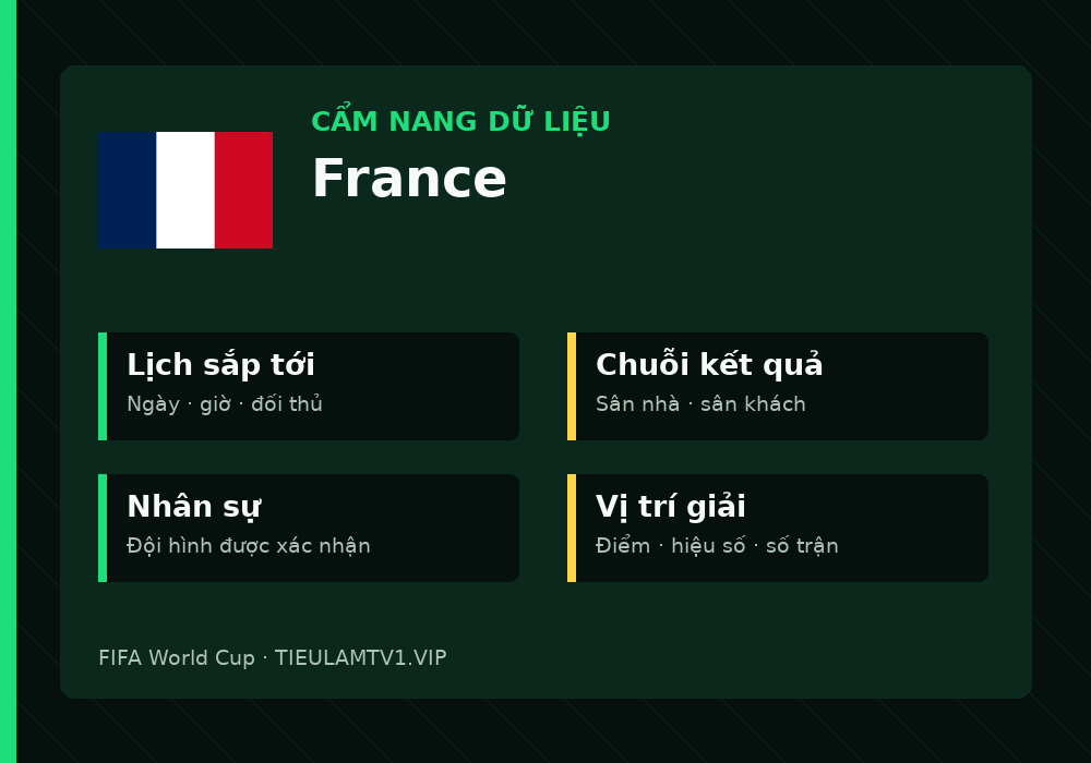 Phân tích phong độ và lối chơi France