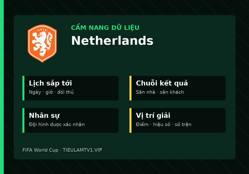 Phân tích phong độ và lối chơi Netherlands