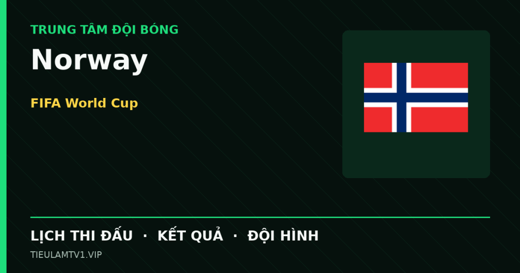 Đồ họa bóng đá Norway tại FIFA World Cup