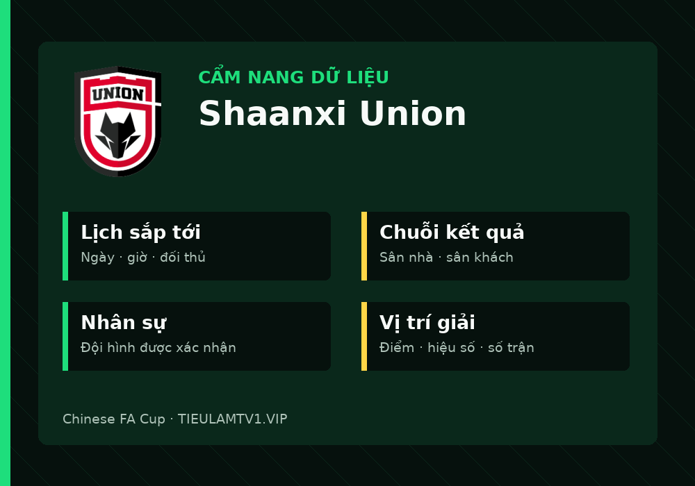 Phân tích phong độ và lối chơi Shaanxi Union
