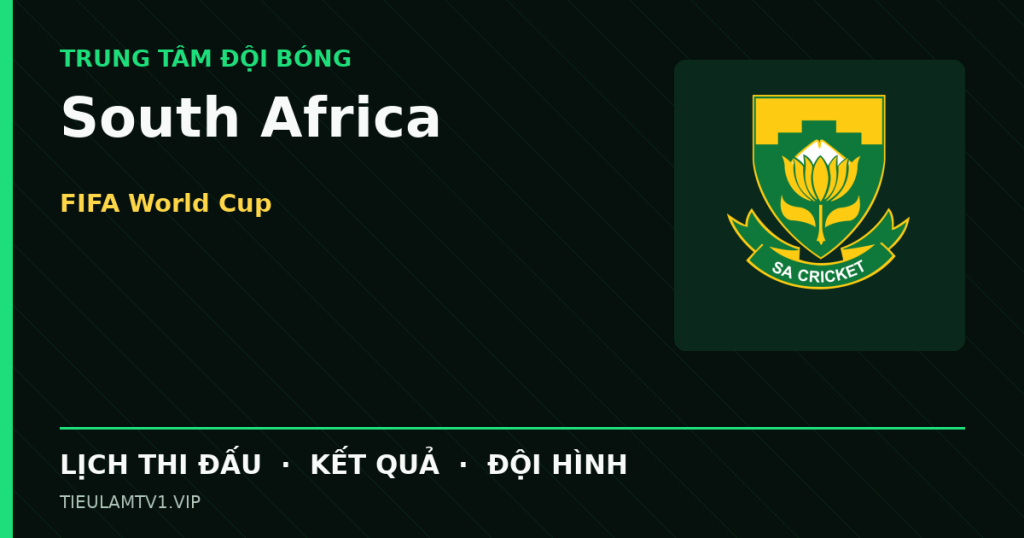 Đồ họa bóng đá South Africa tại FIFA World Cup